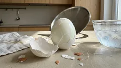 Dlaczego jajka na twardo czasem źle się obierają? Wystarczy zmienić jeden etap po gotowaniu