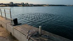 „Woda w kratkę” na morzu? Znak, który warto rozpoznać, zanim wejdziesz do wody