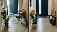 Zamiokulkas przy wejściu: prosty trik Feng Shui, który zmienia pierwsze wrażenie