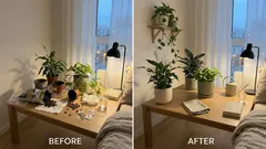 Zielona sypialnia bez wpadek: 5 roślin, które naprawdę się sprawdzają (światło, wilgotność, zwierzęta)